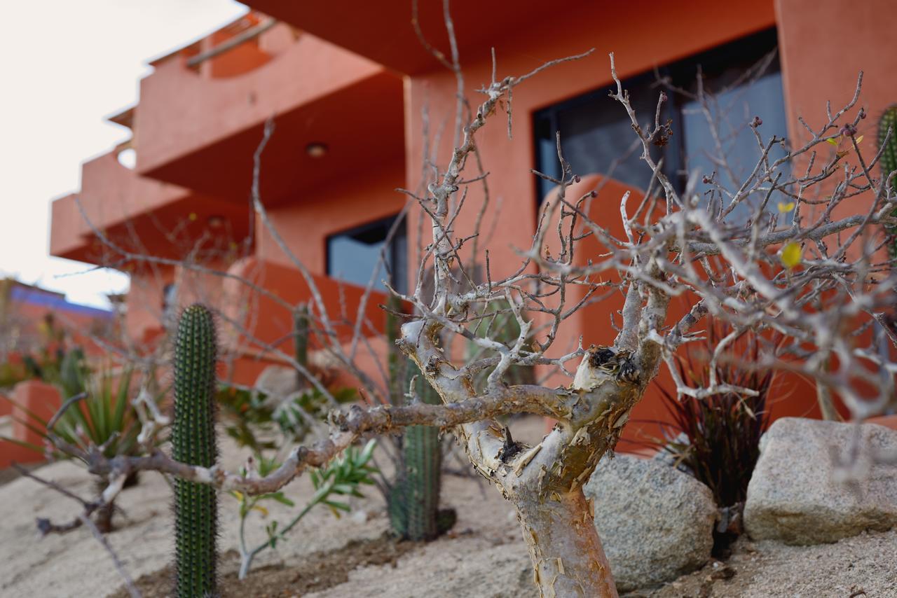 Cerritos Beach Hotel Desert Moon El Pescadero  المظهر الخارجي الصورة