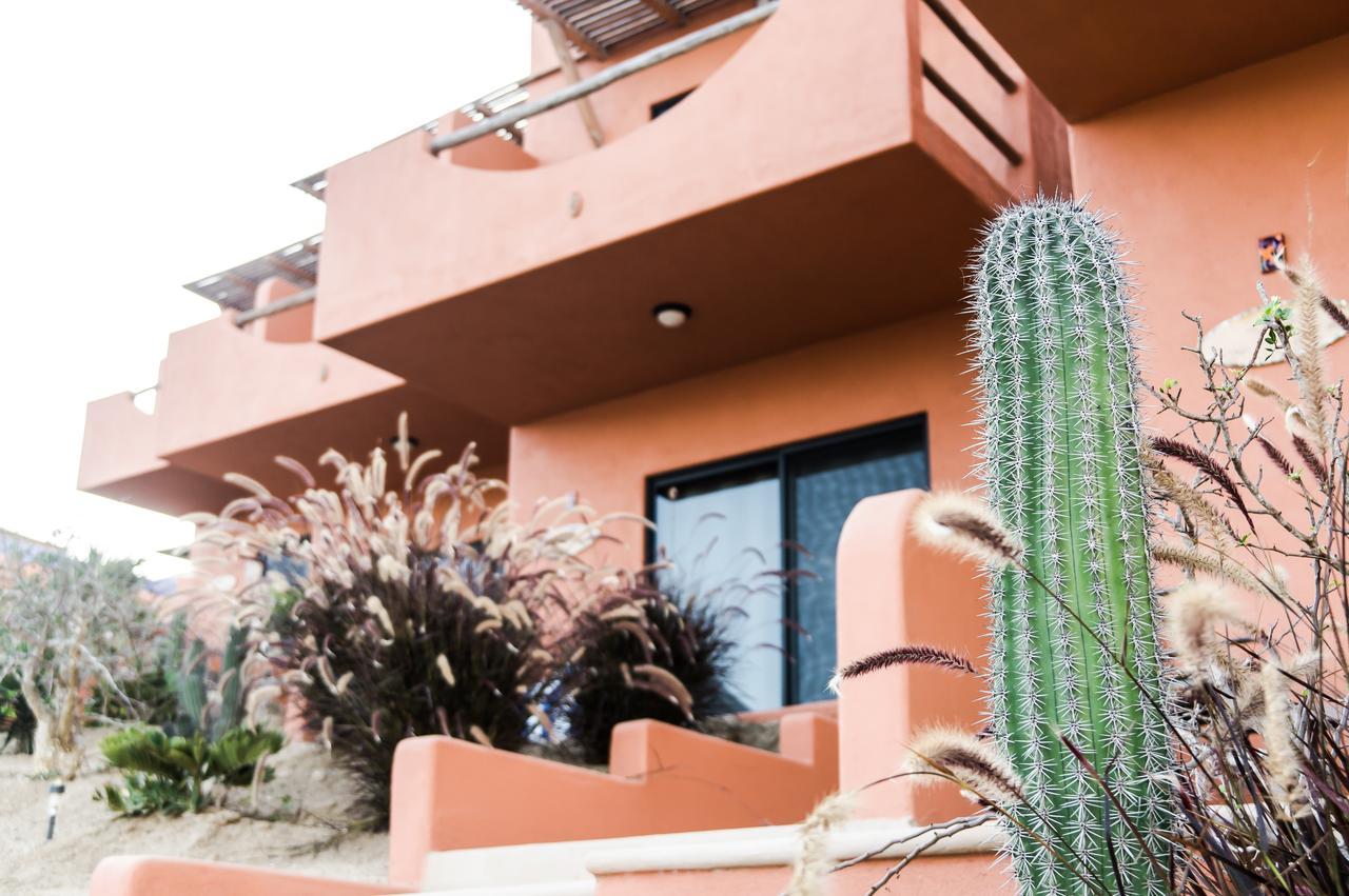 Cerritos Beach Hotel Desert Moon El Pescadero  المظهر الخارجي الصورة