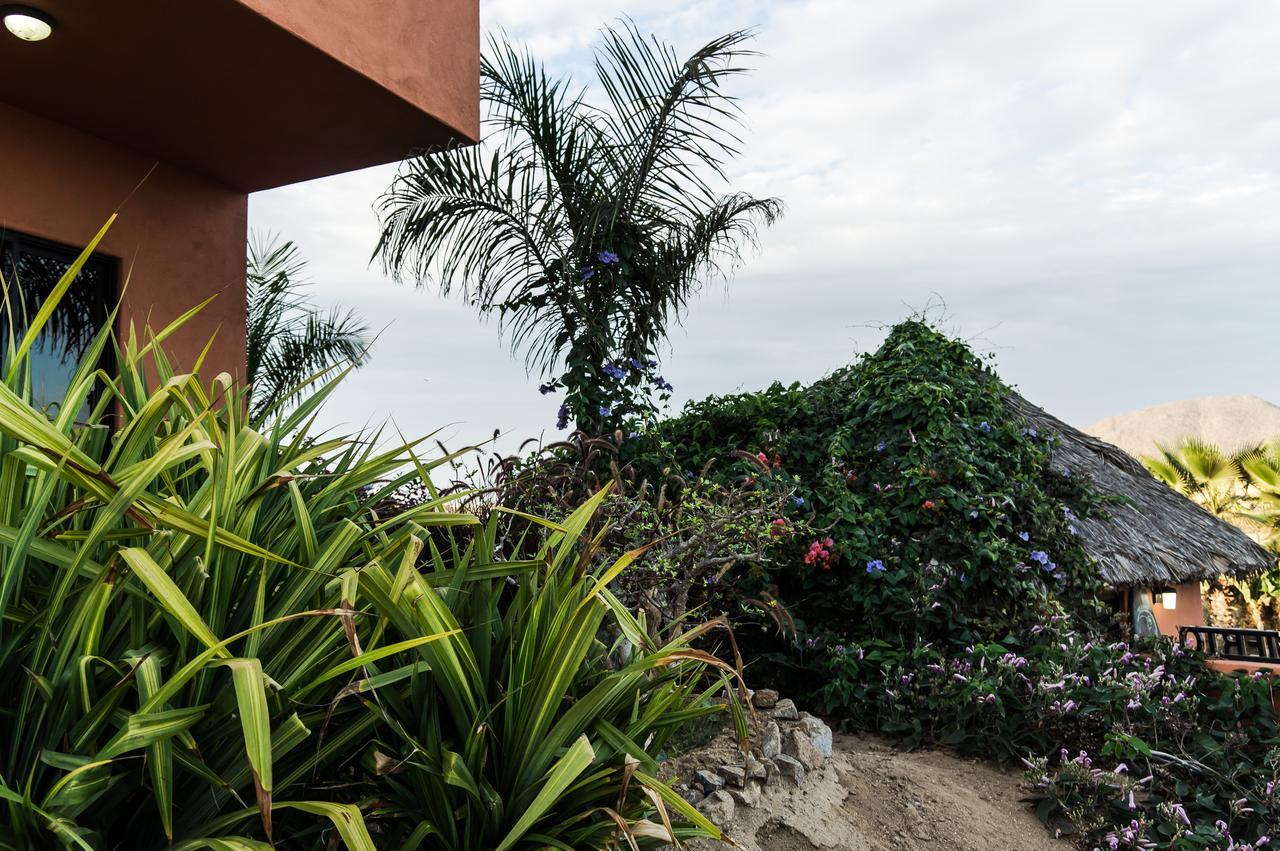 Cerritos Beach Hotel Desert Moon El Pescadero  المظهر الخارجي الصورة